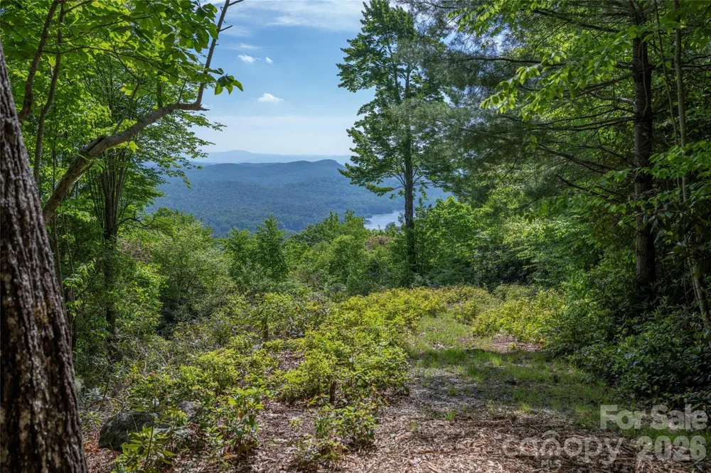 Lot 114R Toxaway Drive Lake Toxaway, NC 28747