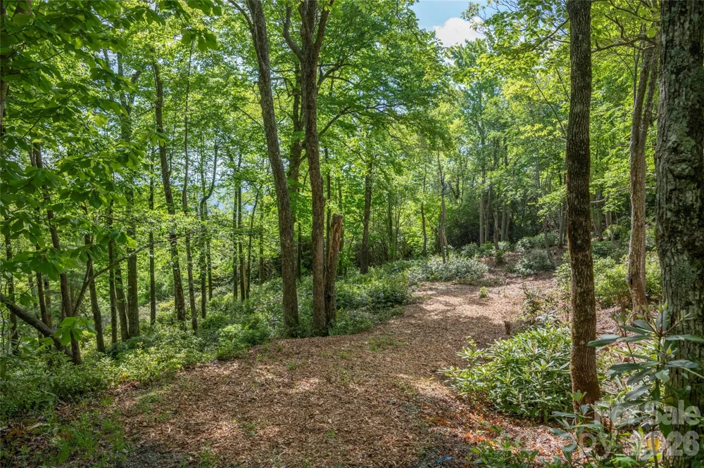 Lot 114R Toxaway Drive Lake Toxaway, NC 28747