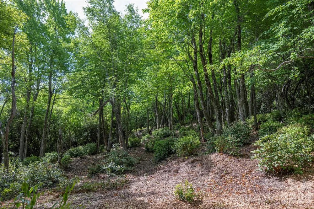 Lot 114R Toxaway Drive Lake Toxaway, NC 28747
