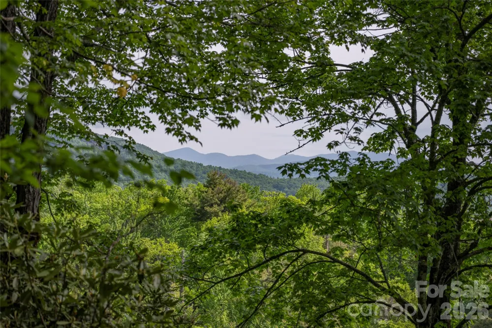 Lot 114R Toxaway Drive Lake Toxaway, NC 28747