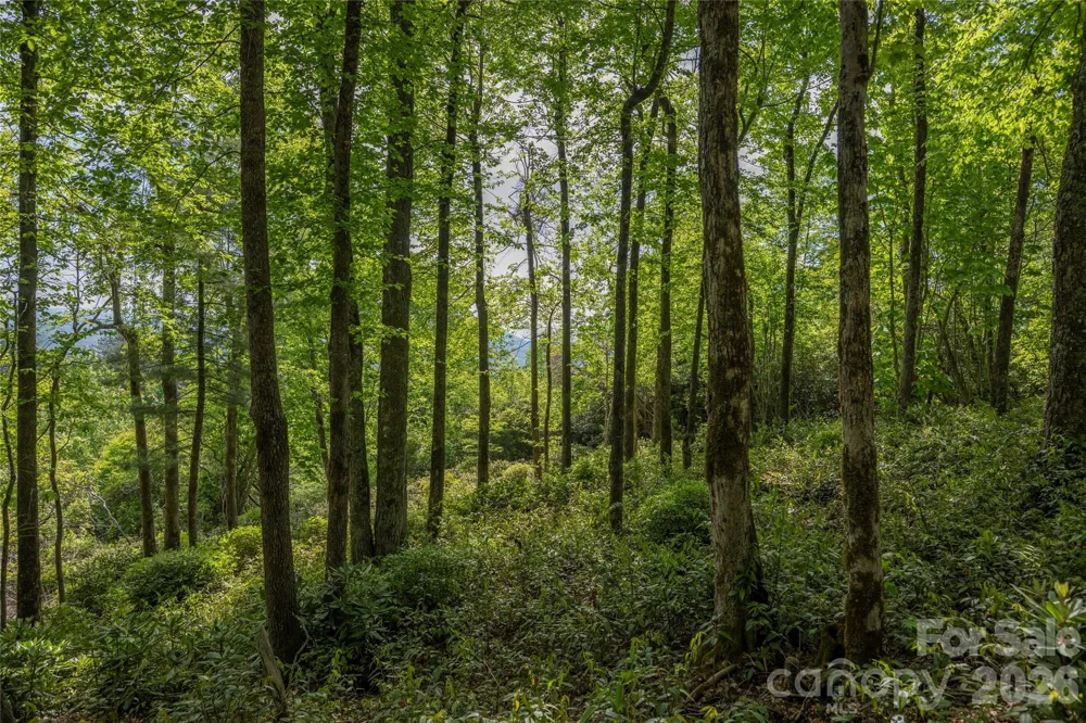 Lot 114R Toxaway Drive Lake Toxaway, NC 28747