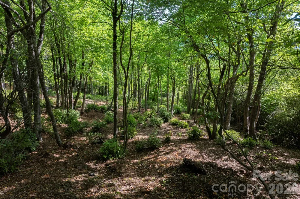 Lot 114R Toxaway Drive Lake Toxaway, NC 28747
