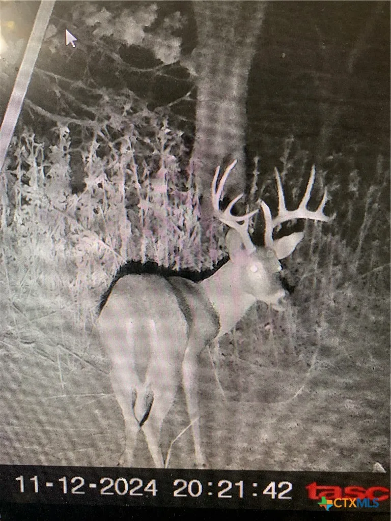 728 CR 1756 Bend, TX 76824
