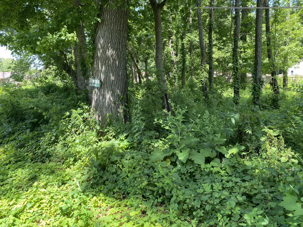 69025 Island Drive Edwardsburg, MI 49112