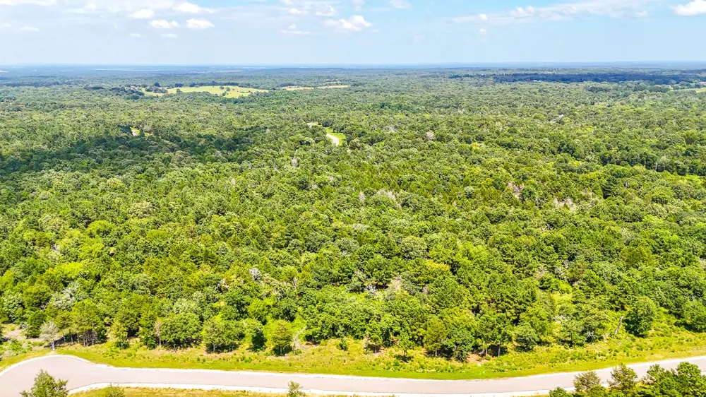 Fm 489 E Fairfield, TX 75840