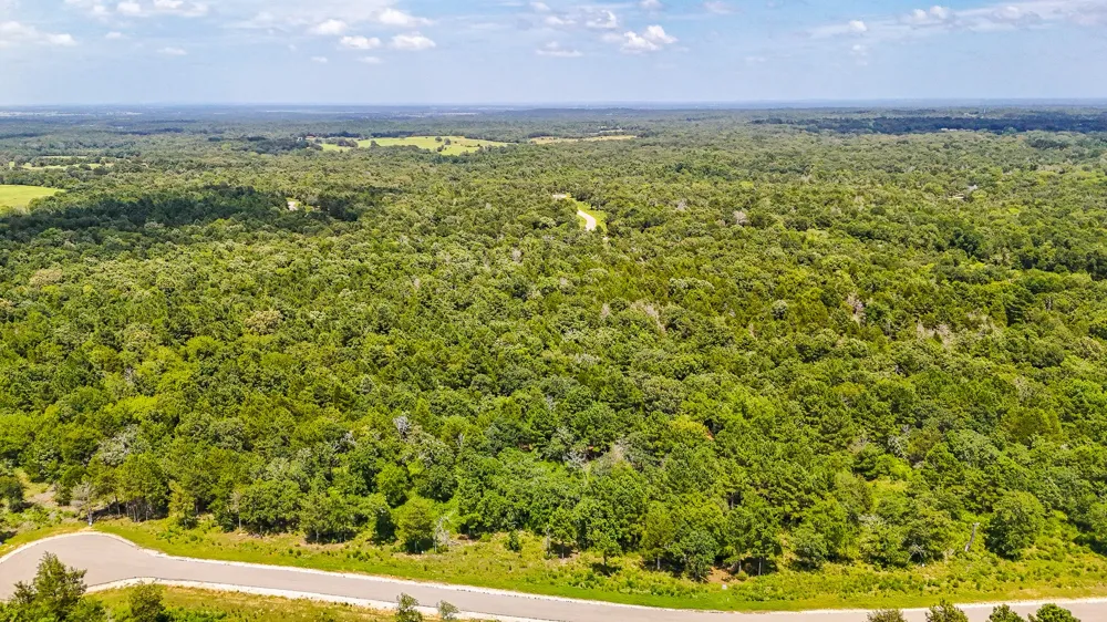 Fm 489 E Fairfield, TX 75840