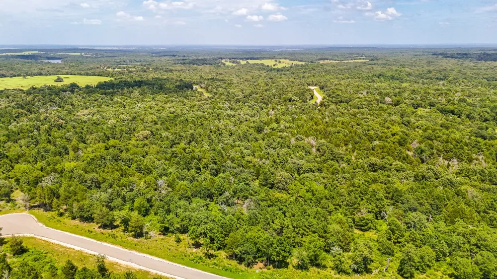 Fm 489 E Fairfield, TX 75840