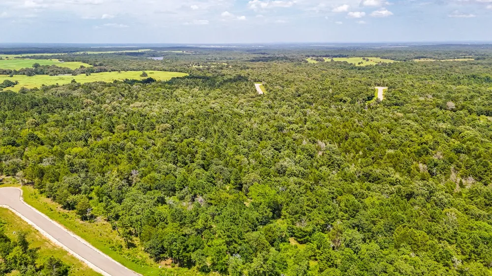 Fm 489 E Fairfield, TX 75840