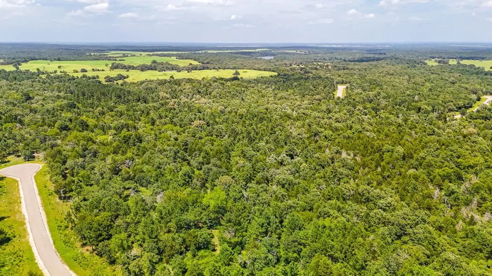 Fm 489 E Fairfield, TX 75840