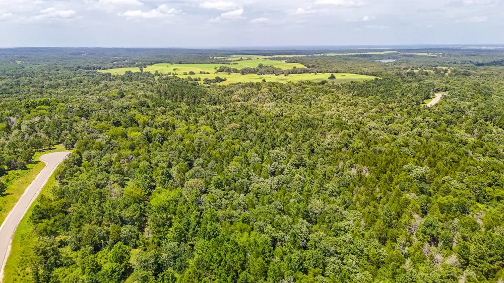 Fm 489 E Fairfield, TX 75840