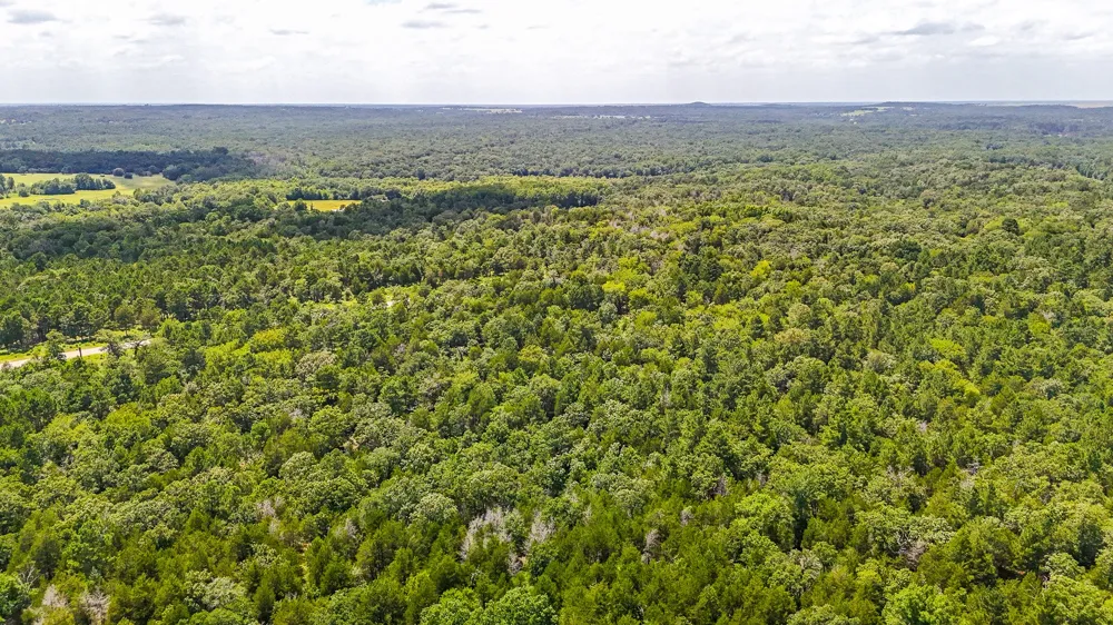 Fm 489 E Fairfield, TX 75840