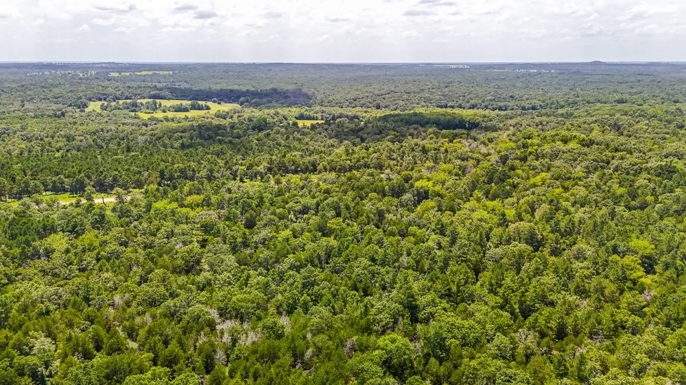 Fm 489 E Fairfield, TX 75840