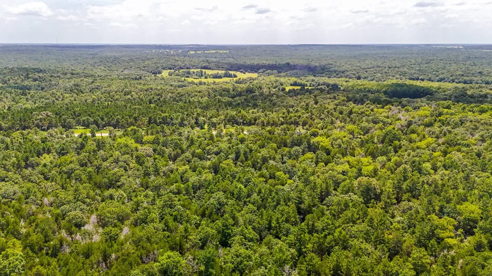 Fm 489 E Fairfield, TX 75840