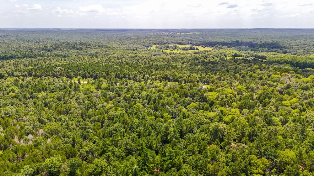 Fm 489 E Fairfield, TX 75840