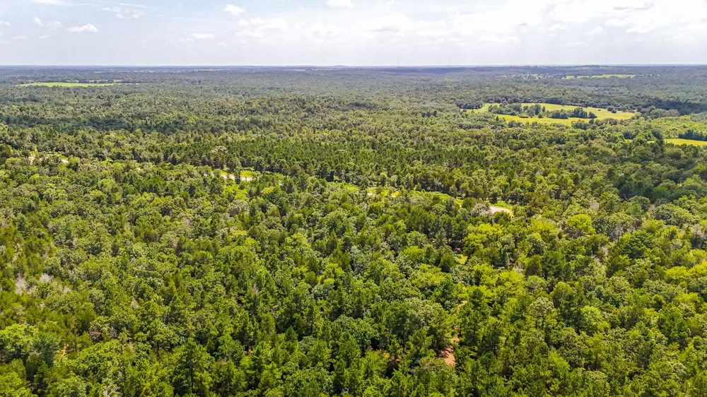 Fm 489 E Fairfield, TX 75840