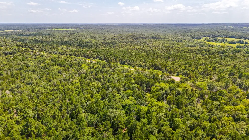 Fm 489 E Fairfield, TX 75840