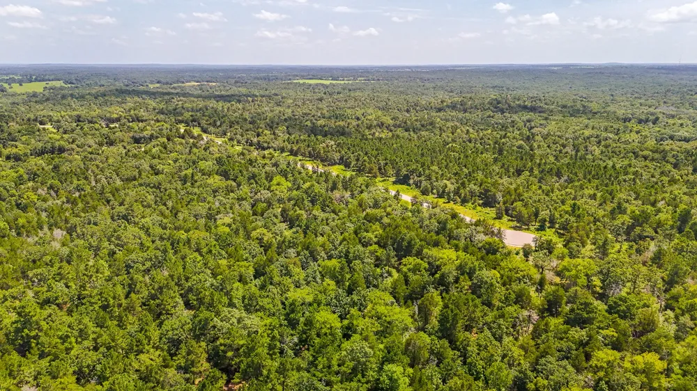 Fm 489 E Fairfield, TX 75840