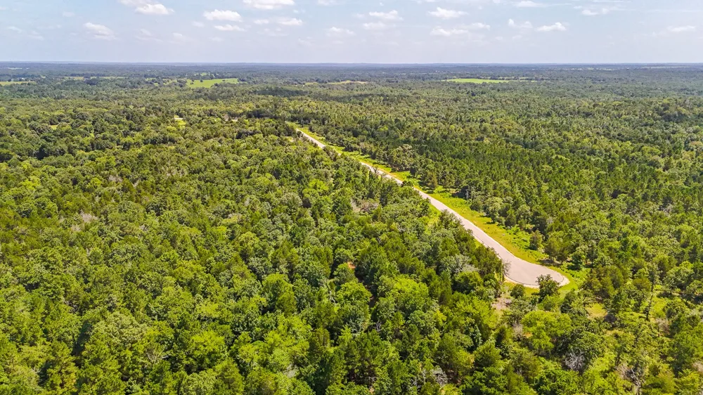 Fm 489 E Fairfield, TX 75840