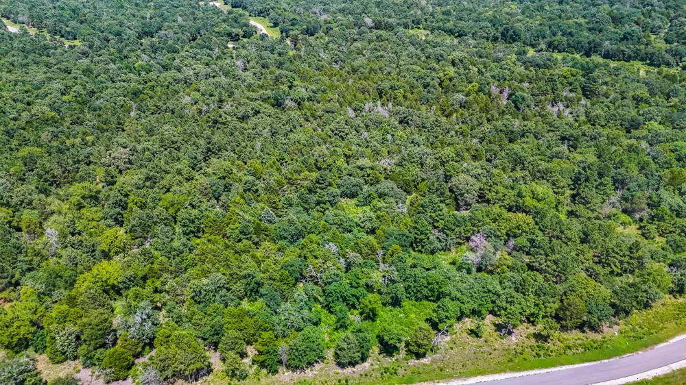 Fm 489 E Fairfield, TX 75840