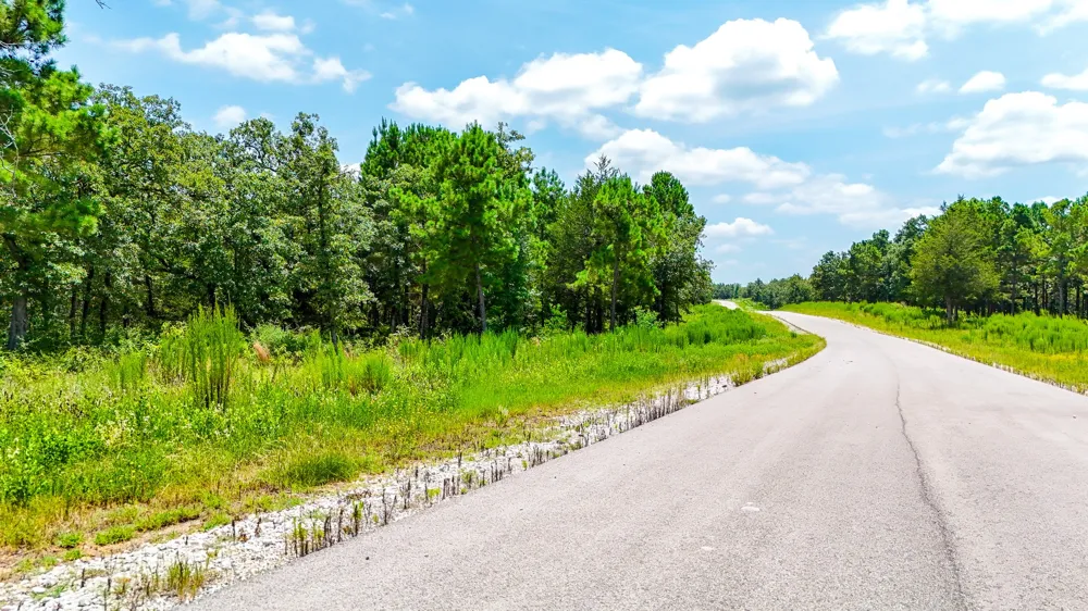 Fm 489 E Fairfield, TX 75840