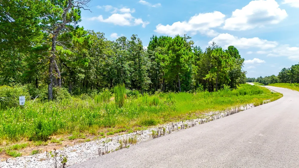 Fm 489 E Fairfield, TX 75840