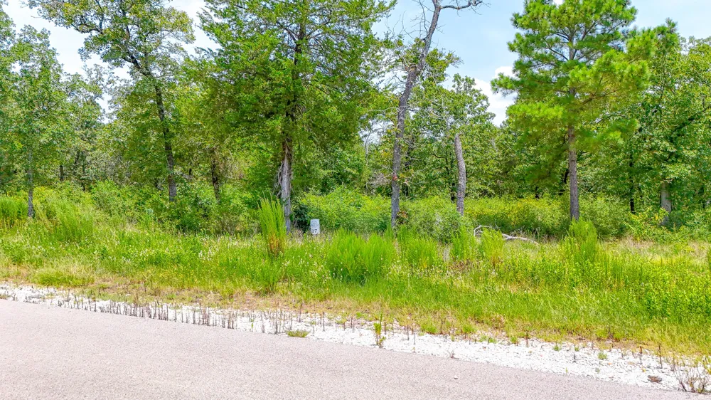 Fm 489 E Fairfield, TX 75840