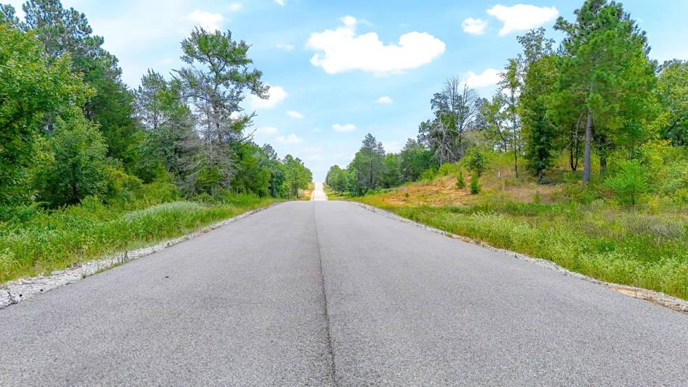 Fm 489 E Fairfield, TX 75840