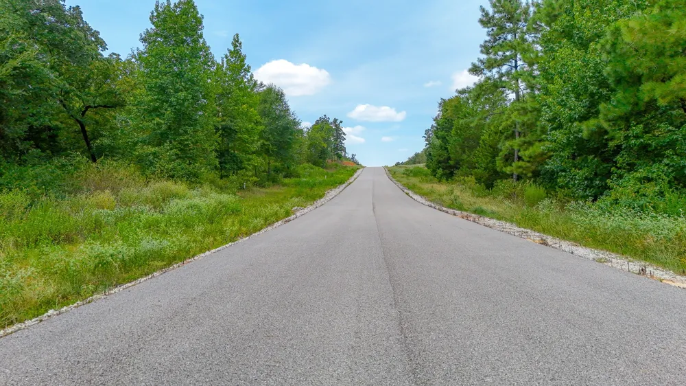 Fm 489 E Fairfield, TX 75840