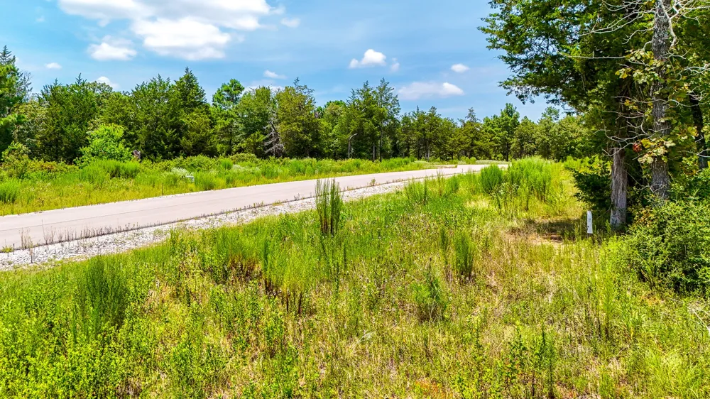 Fm 489 E Fairfield, TX 75840