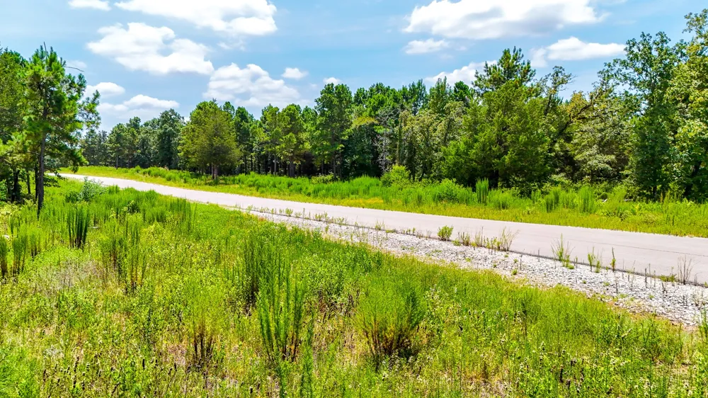 Fm 489 E Fairfield, TX 75840