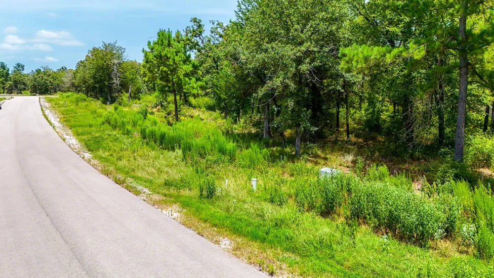 Fm 489 E Fairfield, TX 75840