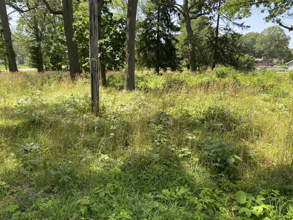 69050 Island Drive Edwardsburg, MI 49112