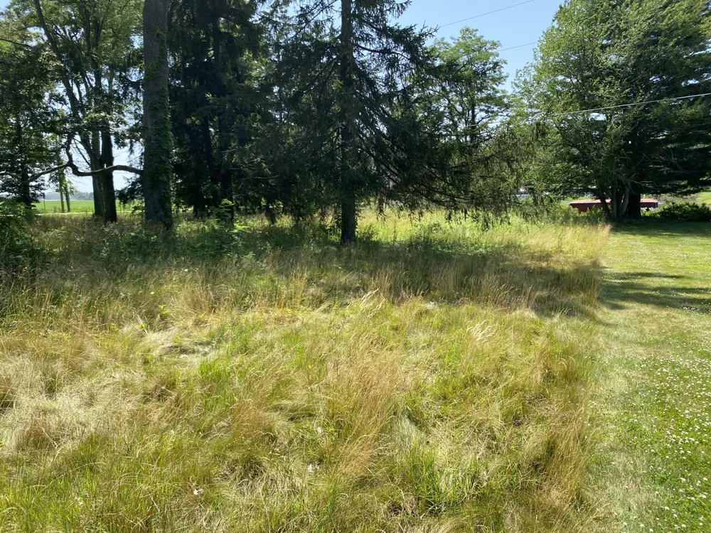69050 Island Drive Edwardsburg, MI 49112