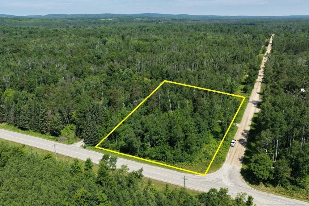 Co Rd 489 Briley Township, MI 49709