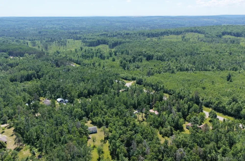 Co Rd 489 Briley Township, MI 49709