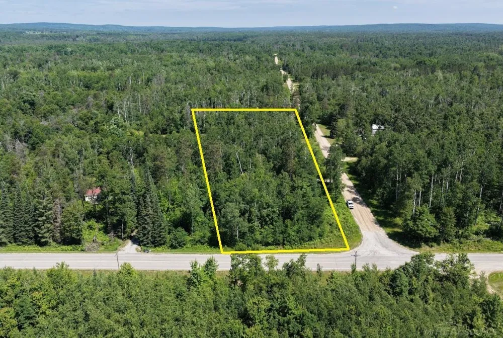 Co Rd 489 Briley Township, MI 49709