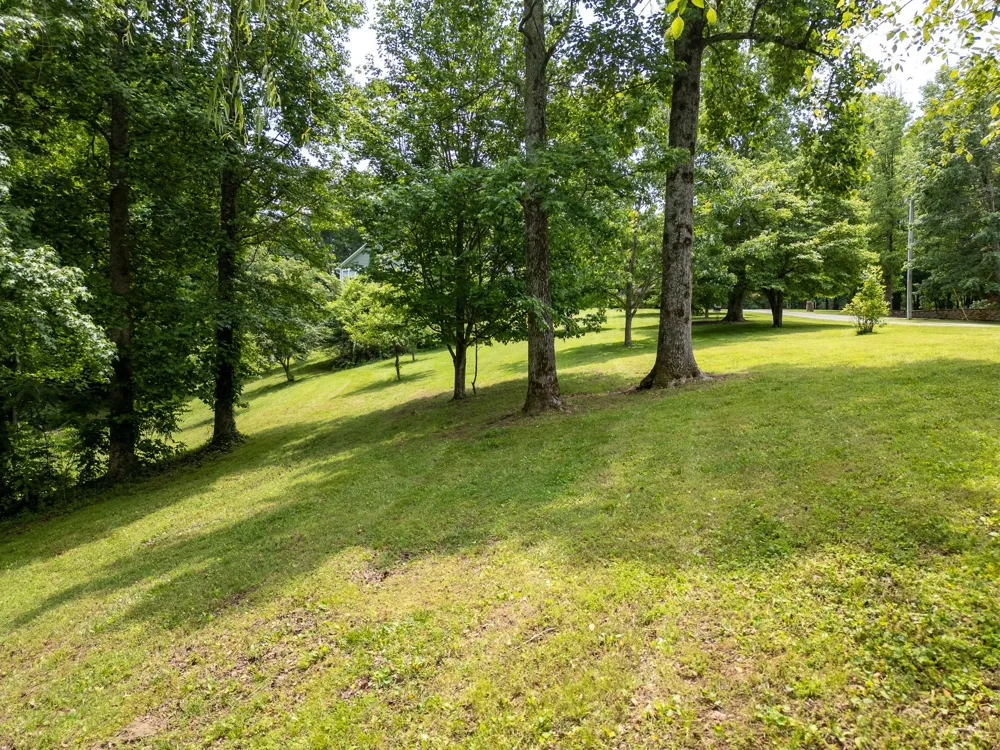 1 Lafever Ridge Rd Silver Point, TN 38582