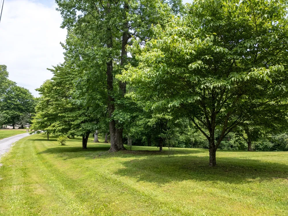 1 Lafever Ridge Rd Silver Point, TN 38582
