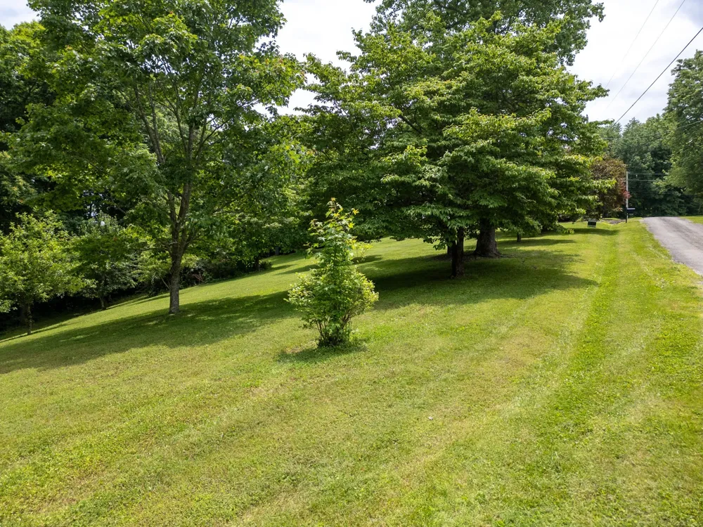 1 Lafever Ridge Rd Silver Point, TN 38582