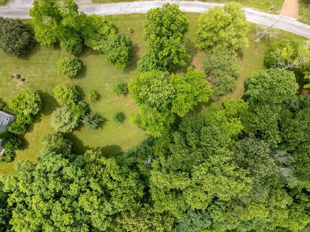 1 Lafever Ridge Rd Silver Point, TN 38582