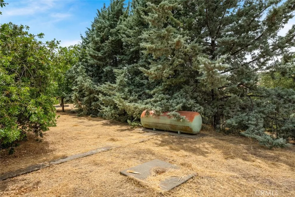 3390 Dry Creek Butte Valley, CA 95965