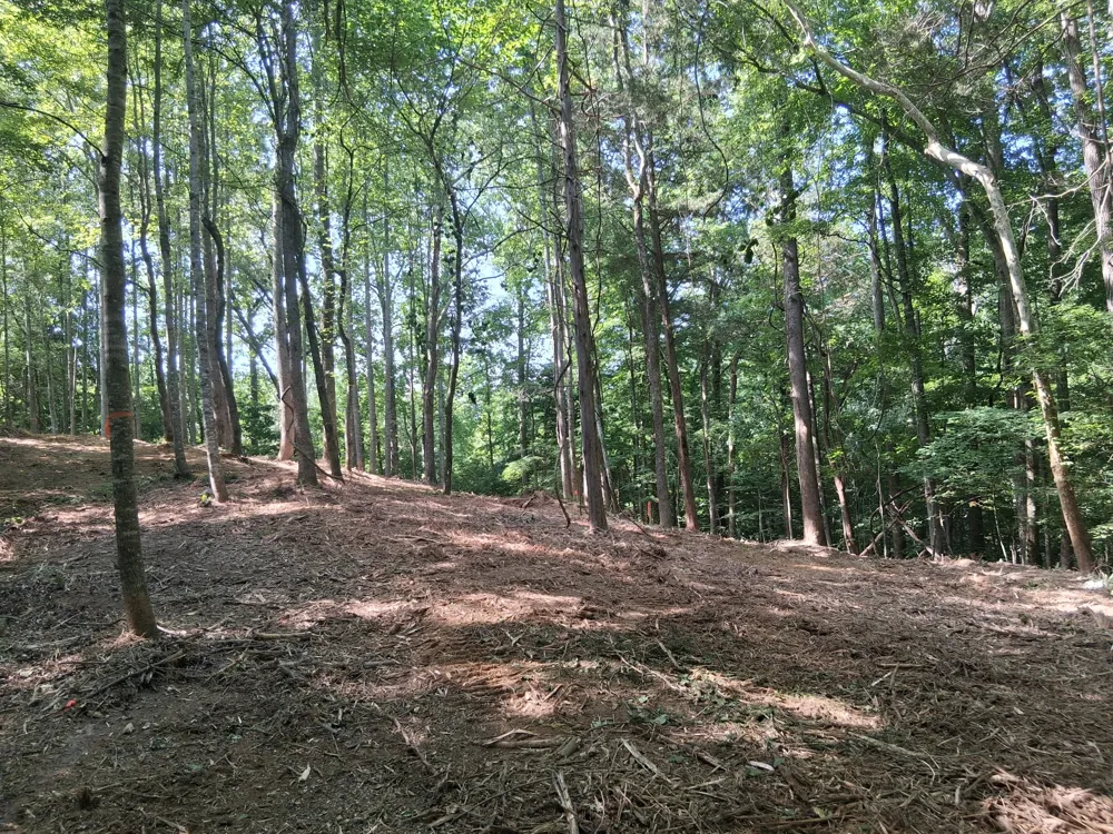 745 October Drive Smithville, TN 37166