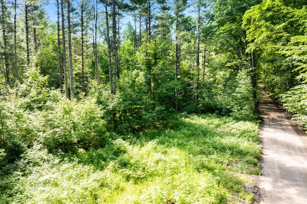 Lake Fife Lake Township, MI 49633