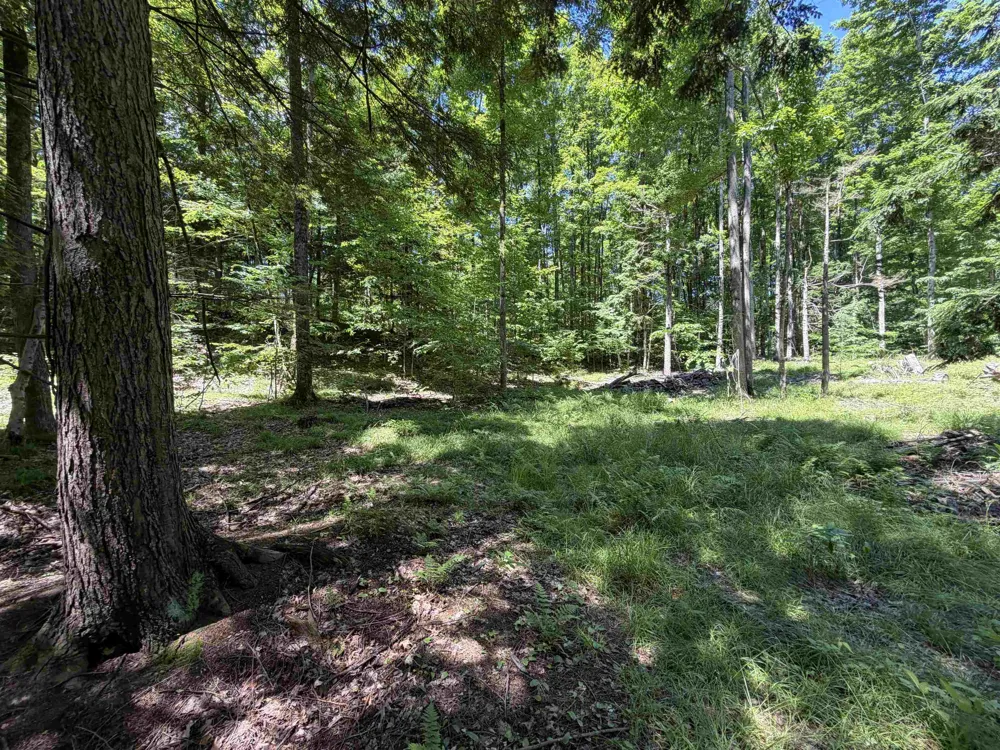 Lake Fife Lake Township, MI 49633