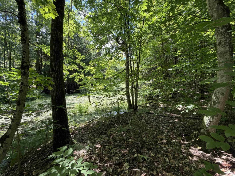 Lake Fife Lake Township, MI 49633