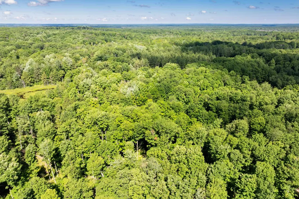 Lake Fife Lake Township, MI 49633