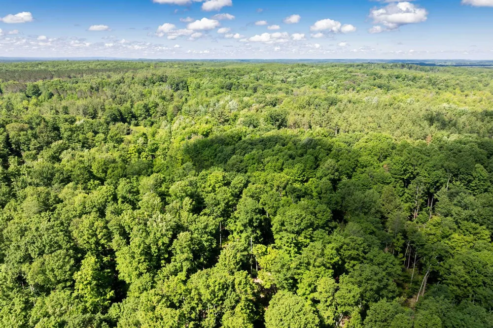 Lake Fife Lake Township, MI 49633