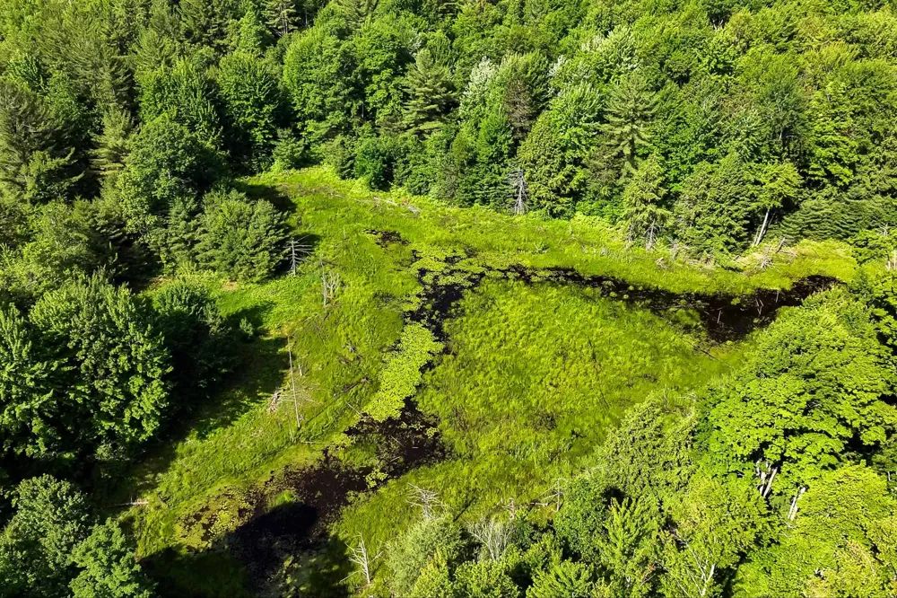 Lake Fife Lake Township, MI 49633