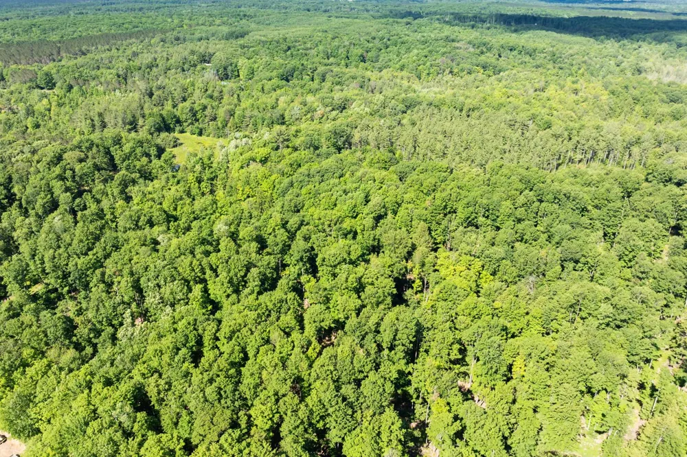 Lake Fife Lake Township, MI 49633