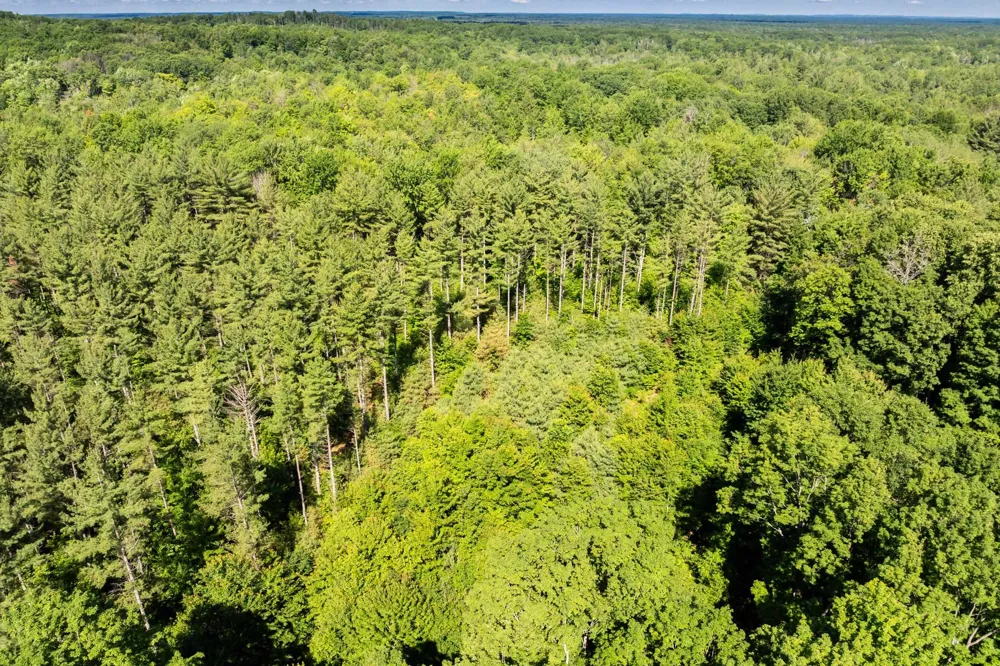 Lake Fife Lake Township, MI 49633